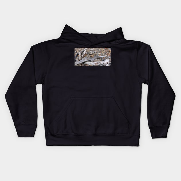 Driftwood on the shore Kids Hoodie by stevepaint